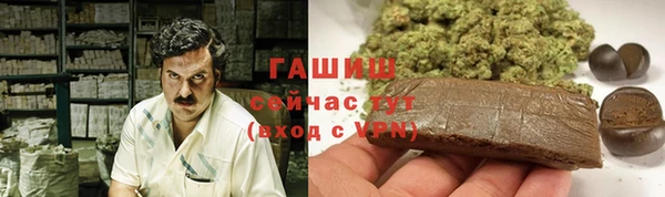 гидра Балахна