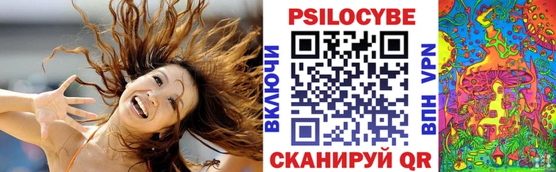 Псилоцибиновые грибы Psilocybe  Гдов 